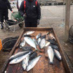 釣り堀水宝 釣果