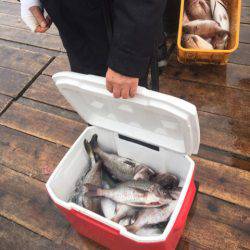 釣り堀水宝 釣果