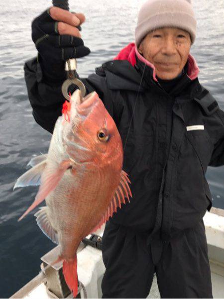 釣鯛洋 釣果