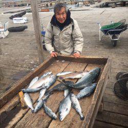釣り堀水宝 釣果