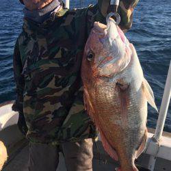 釣鯛洋 釣果