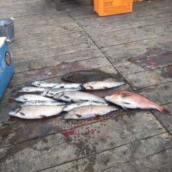 釣り堀水宝 釣果