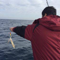 「LaGooN」蒼陽丸 日和号　 釣果