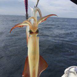 「LaGooN」蒼陽丸 日和号　 釣果