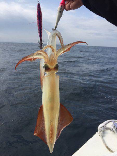 「LaGooN」蒼陽丸 日和号　 釣果