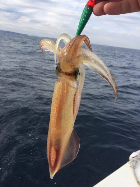「LaGooN」蒼陽丸 日和号　 釣果