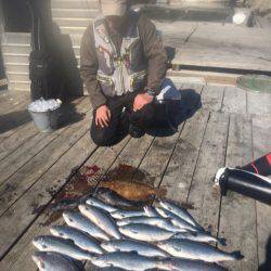 釣り堀水宝 釣果