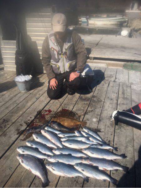 釣り堀水宝 釣果