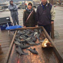 釣り堀水宝 釣果