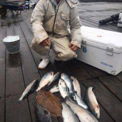 釣り堀水宝 釣果