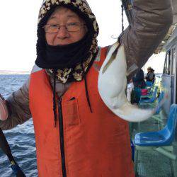 ヤザワ渡船 釣果