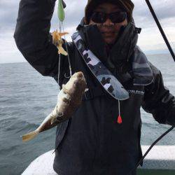 ヤザワ渡船 釣果