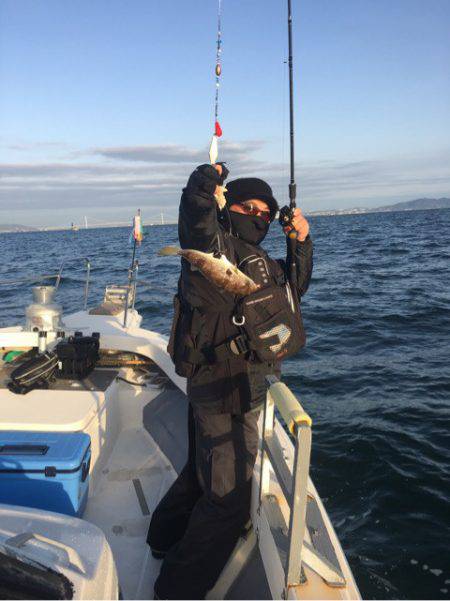 Ｖ−７ West 釣果