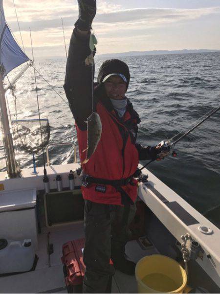 Ｖ−７ West 釣果