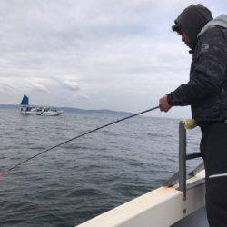 Ｖ−７ West 釣果