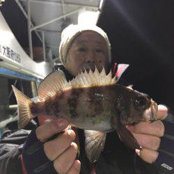 ヤザワ渡船 釣果