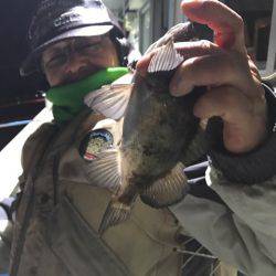 ヤザワ渡船 釣果