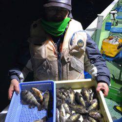 ヤザワ渡船 釣果