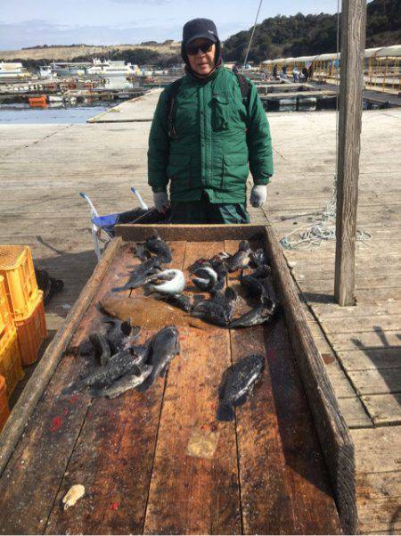 釣り堀水宝 釣果