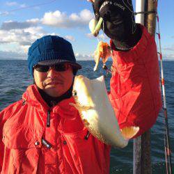 ヤザワ渡船 釣果