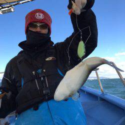 ヤザワ渡船 釣果