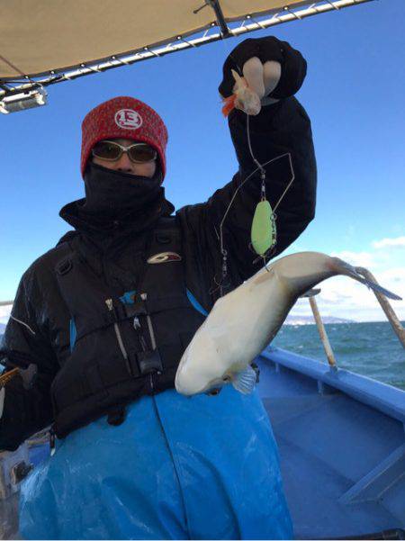 ヤザワ渡船 釣果