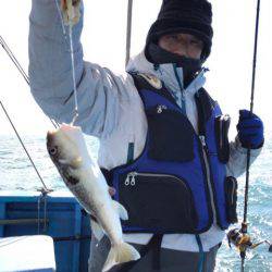 ヤザワ渡船 釣果