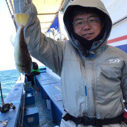 ヤザワ渡船 釣果