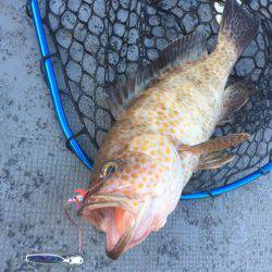 第二 海洋丸 釣果