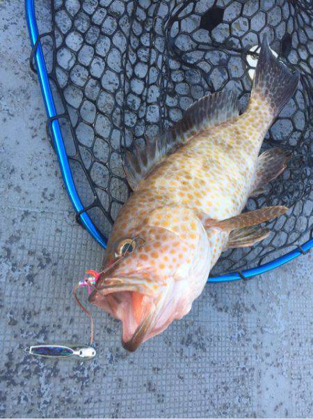 第二 海洋丸 釣果