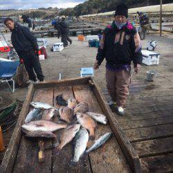 釣り堀水宝 釣果