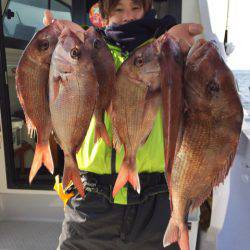 ビッグファイター 釣果