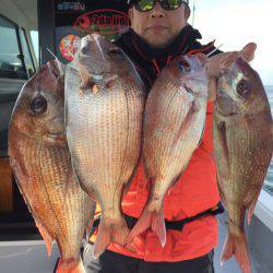 ビッグファイター 釣果