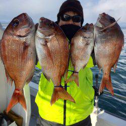 ビッグファイター 釣果