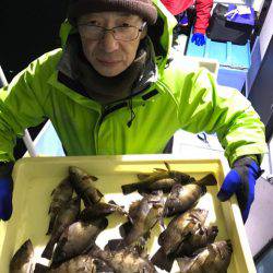 ヤザワ渡船 釣果