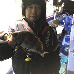 ヤザワ渡船 釣果