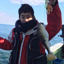 ヤザワ渡船 釣果