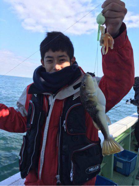 ヤザワ渡船 釣果