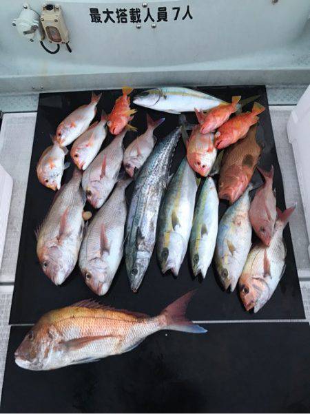 さくら丸 釣果