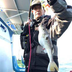 ヤザワ渡船 釣果