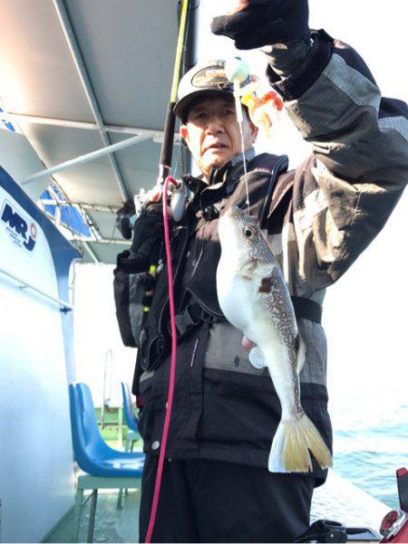 ヤザワ渡船 釣果