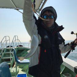 ヤザワ渡船 釣果