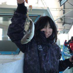 ヤザワ渡船 釣果