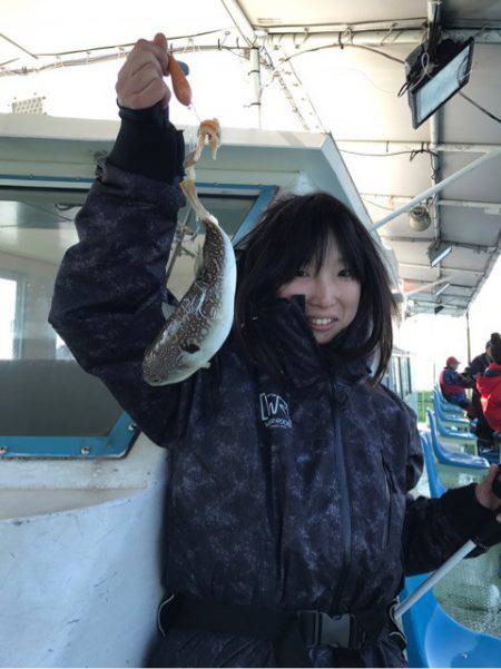 ヤザワ渡船 釣果
