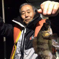 ヤザワ渡船 釣果