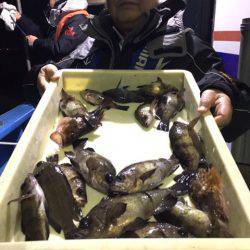 ヤザワ渡船 釣果