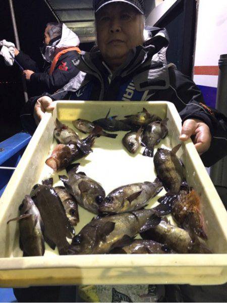 ヤザワ渡船 釣果