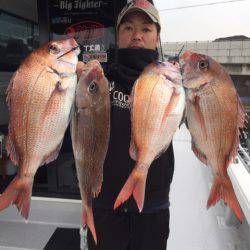 ビッグファイター 釣果