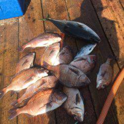 釣り堀水宝 釣果