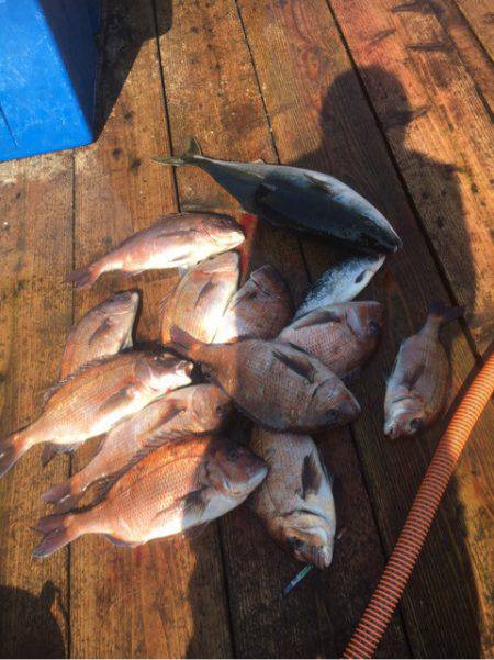 釣り堀水宝 釣果